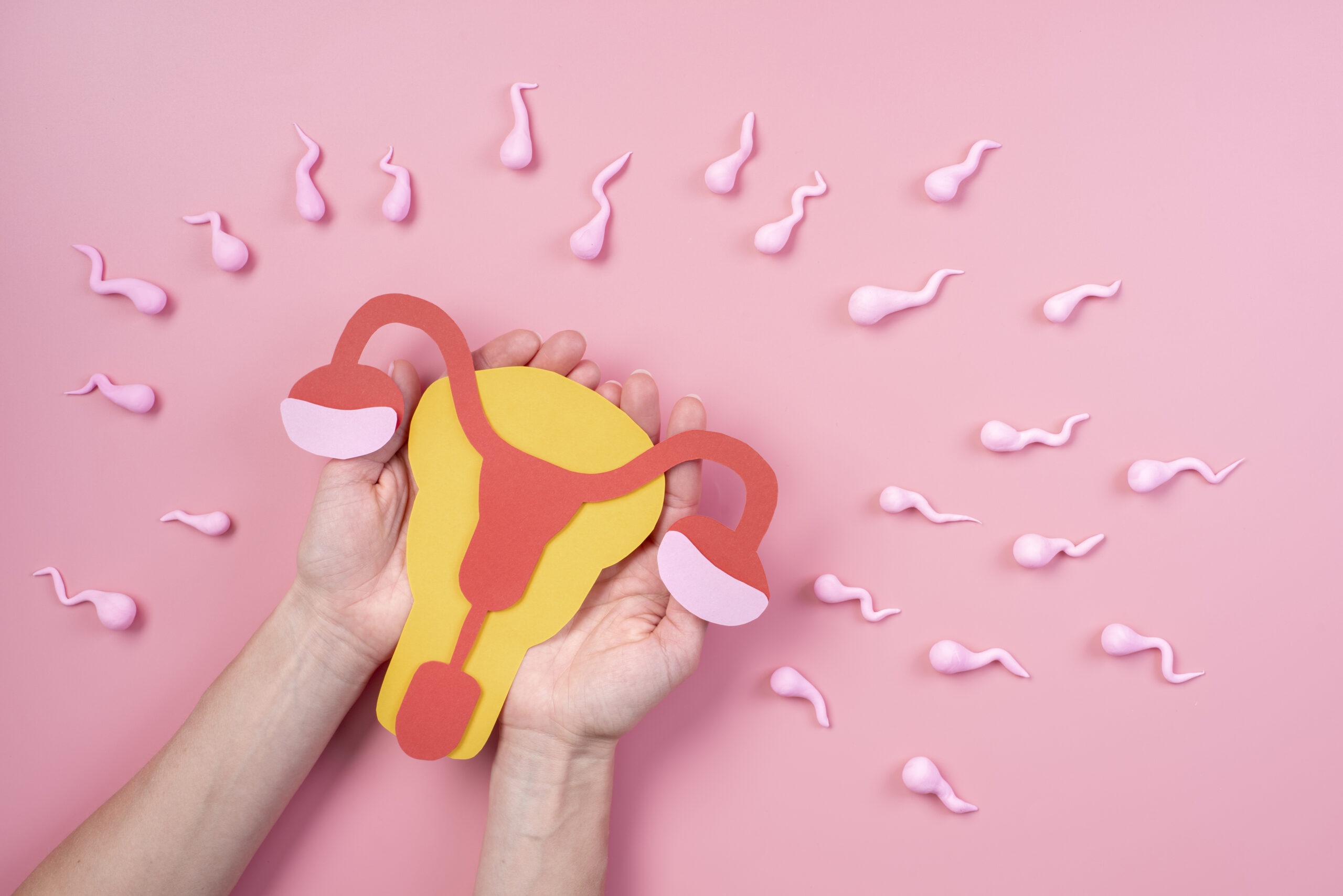 Estudio Hormonal Reproductivo