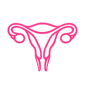 Ginecología y Obstetricia urbinasalud
